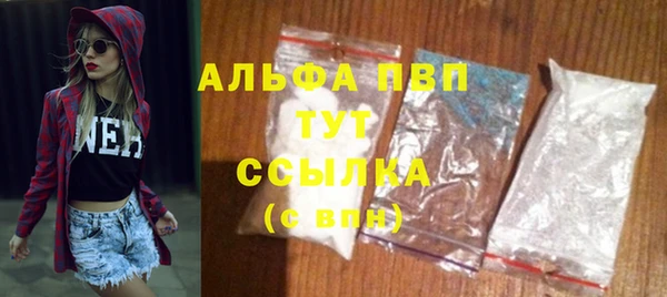 амф Богданович