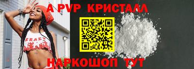 прущие грибы Нальчик