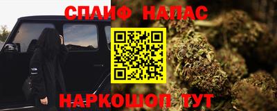 прущие грибы Нальчик