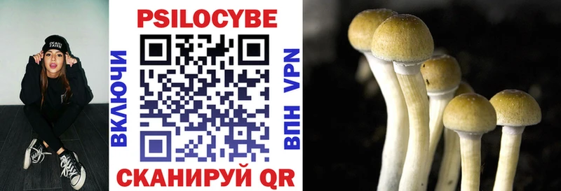 Псилоцибиновые грибы Cubensis  сколько стоит  Улан-Удэ 