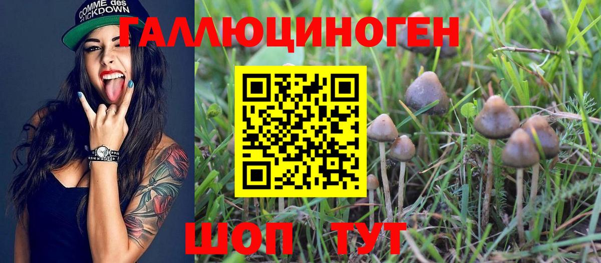 Псилоцибиновые грибы ЛСД Улан-Удэ
