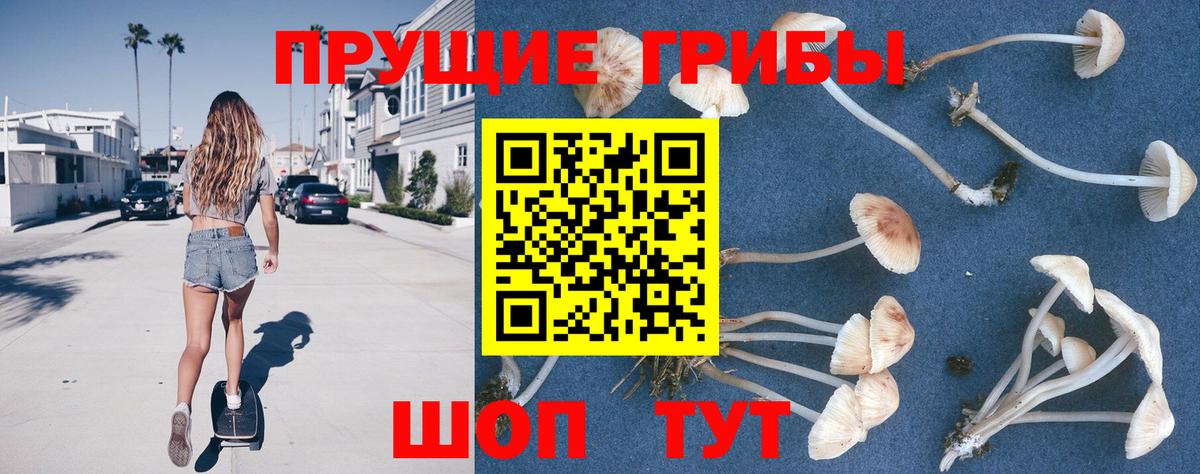 Псилоцибиновые грибы MAGIC MUSHROOMS  Вход с VPN  купить закладку  Улан-Удэ 