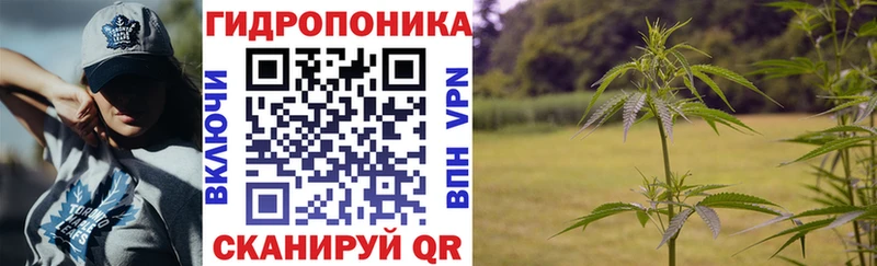 как найти закладки  Улан-Удэ  Бошки Шишки сатива 